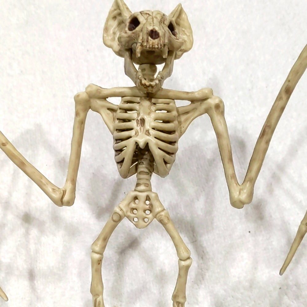 Set of plastic scorpion and bat skeletons. Creepy but awesome! Halloween 🎃